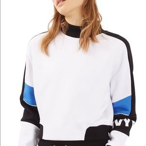 Ivy Park Cropped Sweatshirt